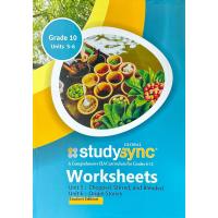 StudySync Workbook Grade 10 Units 5 + 6